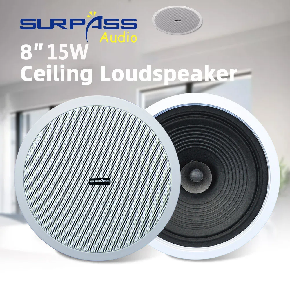 Home Audio Sound System 8 Zoll – Audio Music System For Home Bewertung und Preis