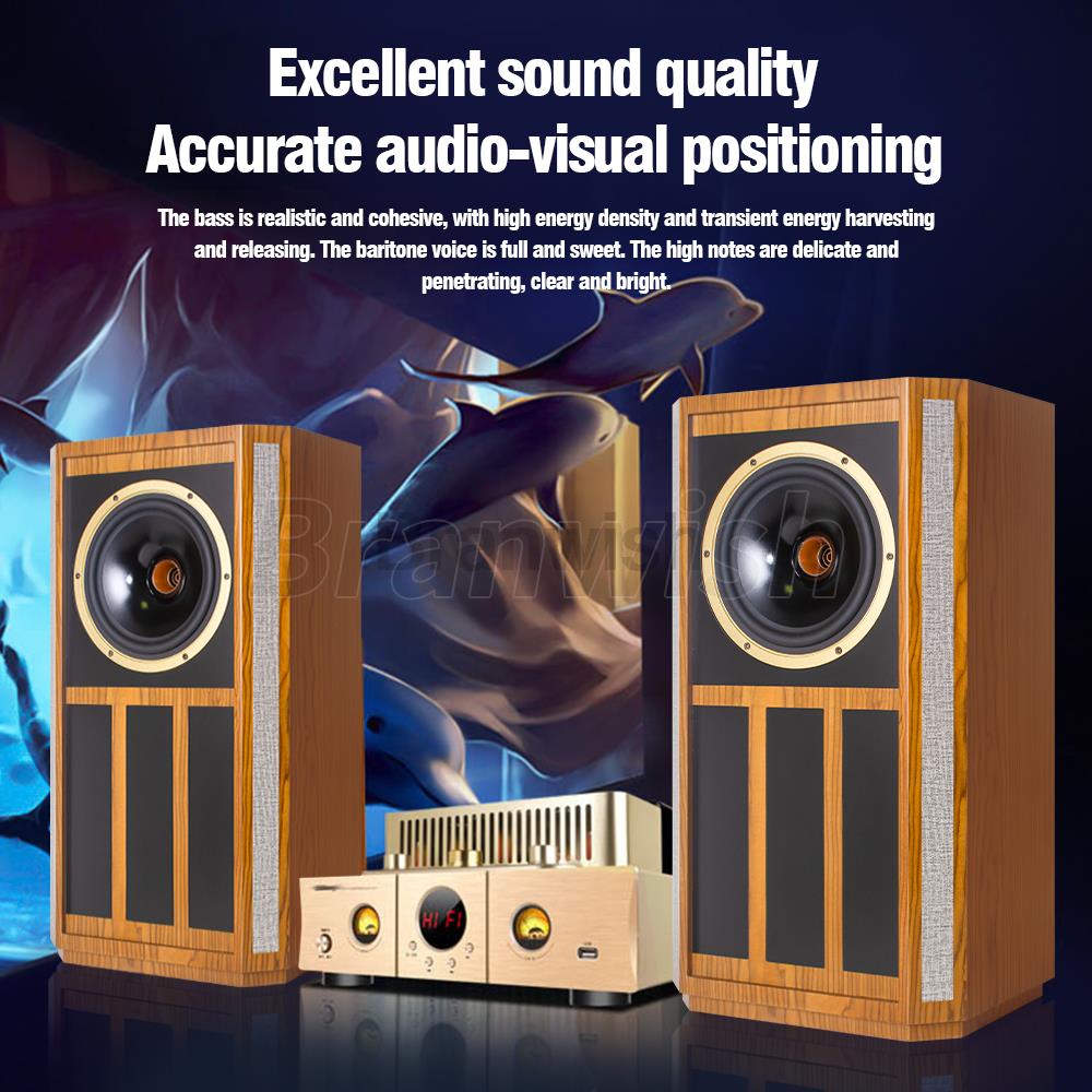 8 Zoll 300 W Koaxial-Regallaut – Audio Music Generator Bewertung und Preis